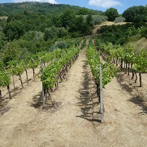 Casa vacanze La Collina Di Piero Sansepolcro